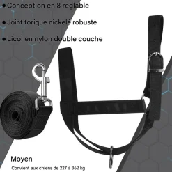 DOWNYPAWS - Laisse de dressage licol pour cheval