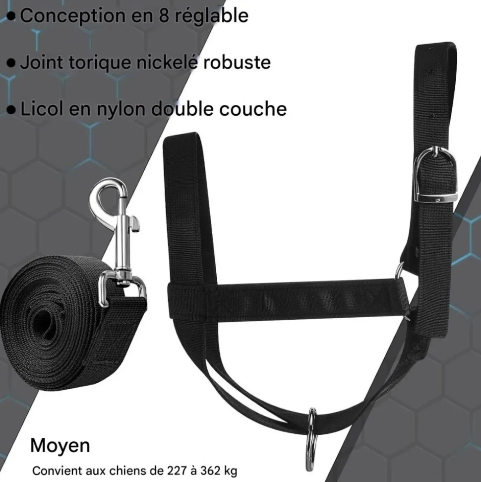 DOWNYPAWS - Laisse de dressage licol pour cheval