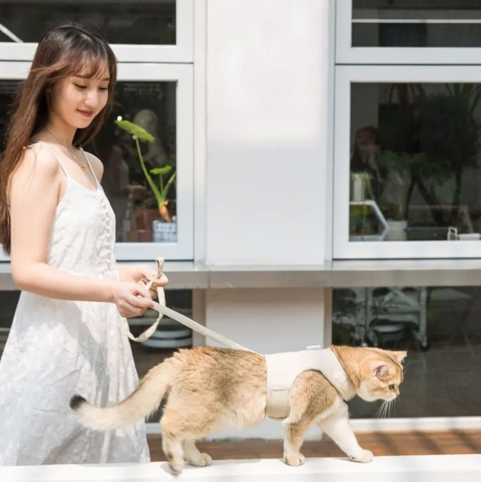 DOWNYPAWS - Laisse et harnais pour chat-l