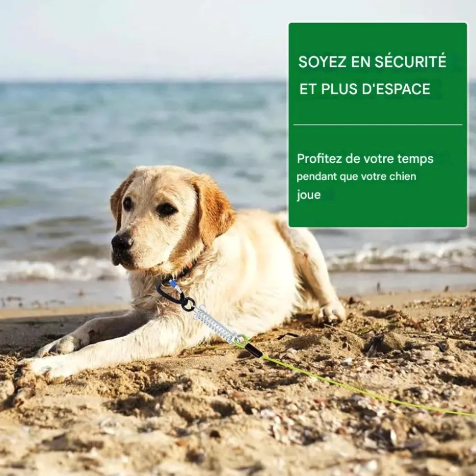 DOWNYPAWS - Laisse pour chien- boucle à double tête + ressort antidéflagrant - 8 m x 5 mm-fil d'acier étanche