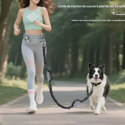 DOWNYPAWS - Laisse pour chien mains libres-courant - gris-avec sac de rangement