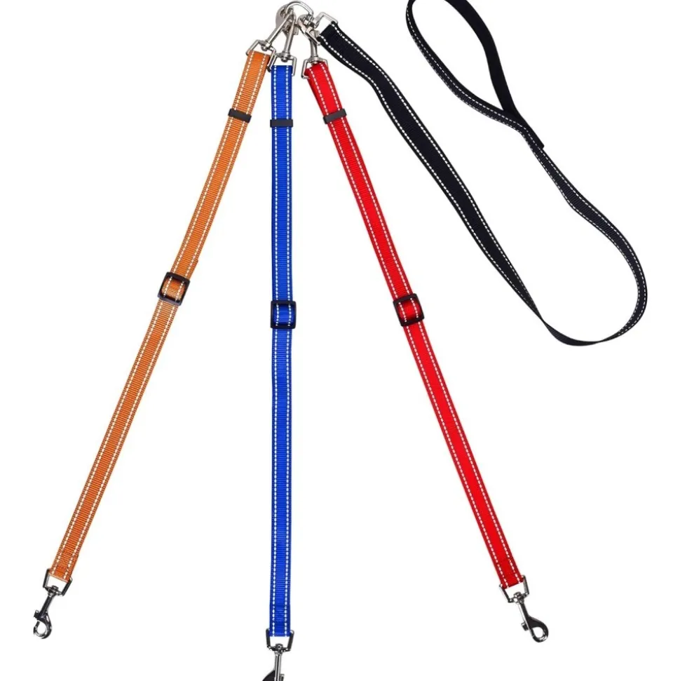 DOWNYPAWS - Laisse pour chien 3 têtes