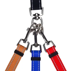 DOWNYPAWS - Laisse pour chien 3 têtes