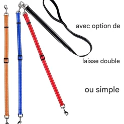 DOWNYPAWS - Laisse pour chien 3 têtes