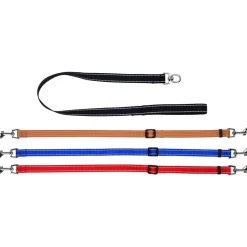 DOWNYPAWS - Laisse pour chien 3 têtes