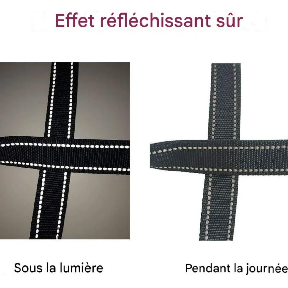 DOWNYPAWS - Laisse pour chien 3 têtes