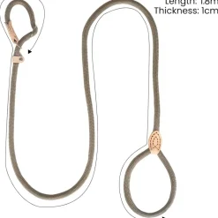 DOWNYPAWS - Laisse pour chienlaisse de dressage et collier réfléchissants et coulissants en nylon de 180 cm, couleur beige,