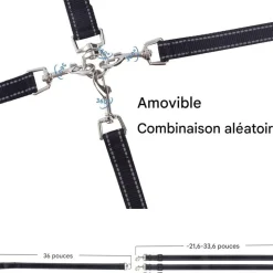 DOWNYPAWS - Laisse pour chien 3 têtes