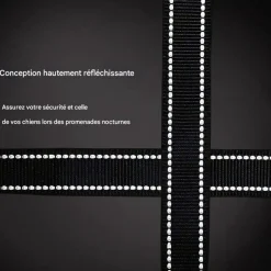 DOWNYPAWS - Laisse pour chien 3 têtes