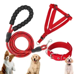 DOWNYPAWS - Laisse pour chien ensemble rouge trois pièces-corde + collier + harnais de poitrine