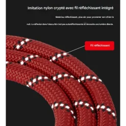 DOWNYPAWS - Laisse pour chien ensemble rouge trois pièces-corde + collier + harnais de poitrine