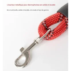 DOWNYPAWS - Laisse pour chien ensemble rouge trois pièces-corde + collier + harnais de poitrine