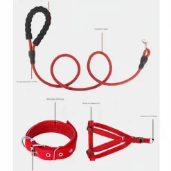 DOWNYPAWS - Laisse pour chien ensemble rouge trois pièces-corde + collier + harnais de poitrine