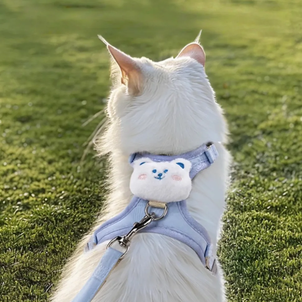 DOWNYPAWS - Laisse réglable pour chat - 1.2m, bleu