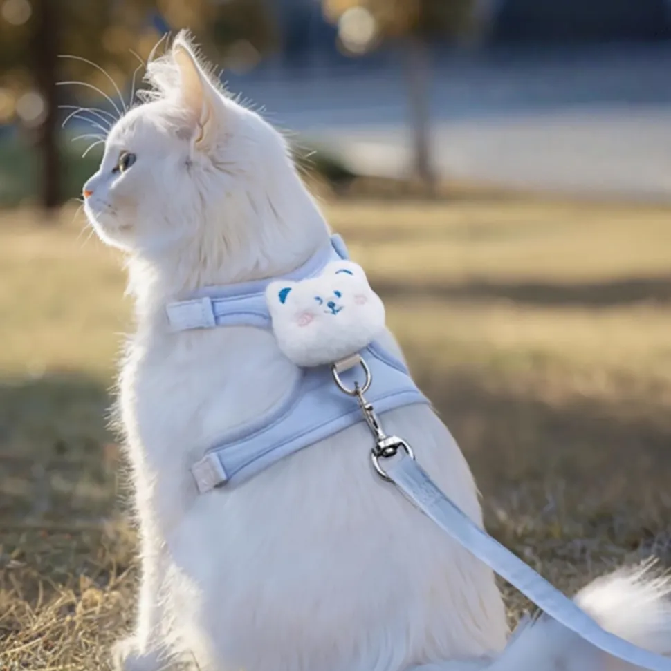 DOWNYPAWS - Laisse réglable pour chat - 1.2m, bleu