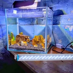 DOWNYPAWS - Lampe led 3 couleurs pour aquarium