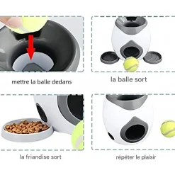DOWNYPAWS - Lanceur de balles pour chien, alimentation automatique, balle adaptée, compact