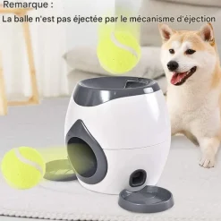 DOWNYPAWS - Lanceur de balles pour chien, alimentation automatique, balle adaptée, compact