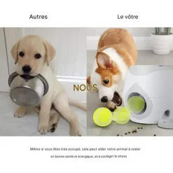 DOWNYPAWS - Lanceur de balles pour chien, alimentation automatique, balle adaptée, compact