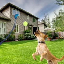 DOWNYPAWS - Lanceur de balles pour chien paquet de 3-jouets interactifs pour chiens-bleu+rose+vert 60cm