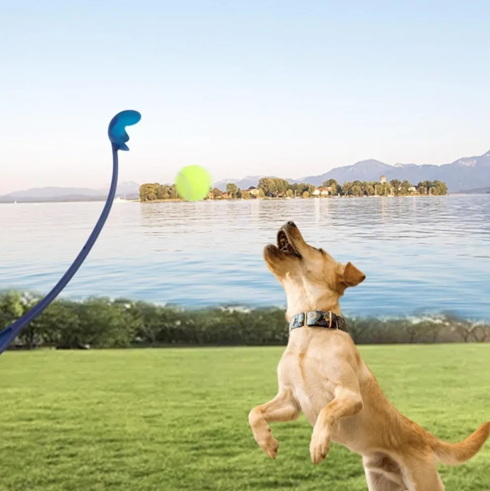 DOWNYPAWS - Lanceur de balles pour chien paquet de 3-jouets interactifs pour chiens-bleu+rose+vert 60cm