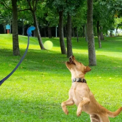 DOWNYPAWS - Lanceur de balles pour chien paquet de 3-jouets interactifs pour chiens-bleu+rose+vert 60cm