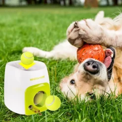 DOWNYPAWS - Lanceur de balles pour chien, alimentation automatique, balle adaptée, compact