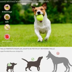 DOWNYPAWS - Lanceur de balles pour chien, alimentation automatique, balle adaptée, compact