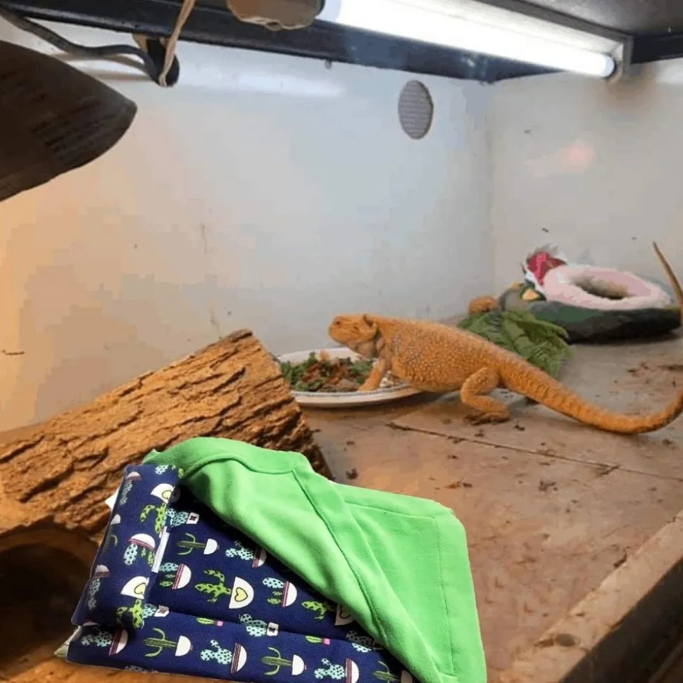 DOWNYPAWS - Lit - confortable, chaud, avec oreiller, couverture et housse en peluche