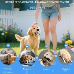 DOWNYPAWS - Lot de 6 balles jouets pour chien 6.3cm-jouets interactifs à haute élasticité