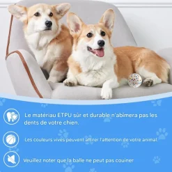 DOWNYPAWS - Lot de 6 balles jouets pour chien 6.3cm-jouets interactifs à haute élasticité