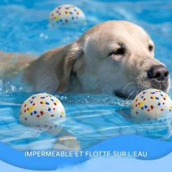 DOWNYPAWS - Lot de 6 balles jouets pour chien 6.3cm-jouets interactifs à haute élasticité