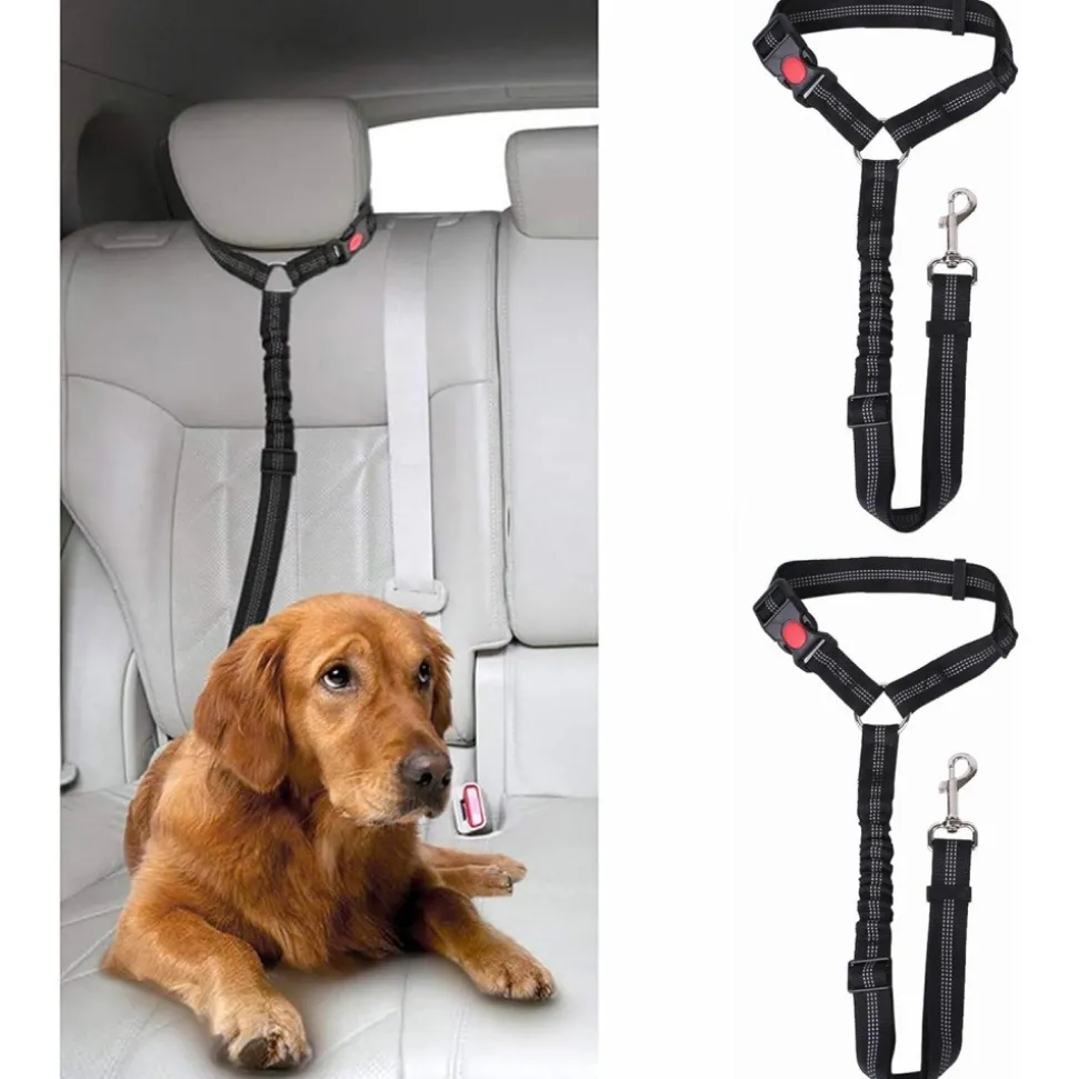 DOWNYPAWS - Lot de 2 ceintures de sécurité pour chien