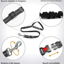 DOWNYPAWS - Lot de 2 ceintures de sécurité pour chien