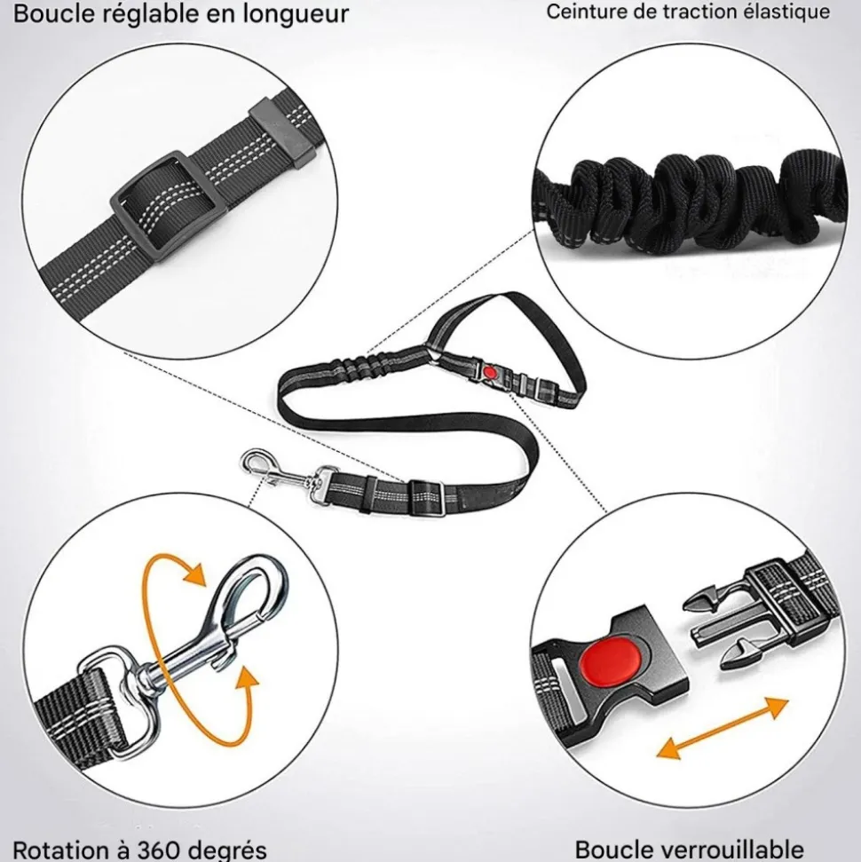 DOWNYPAWS - Lot de 2 ceintures de sécurité pour chien