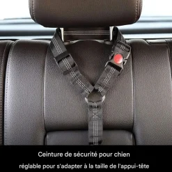 DOWNYPAWS - Lot de 2 ceintures de sécurité pour chien