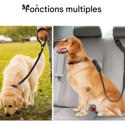 DOWNYPAWS - Lot de 2 ceintures de sécurité pour chien