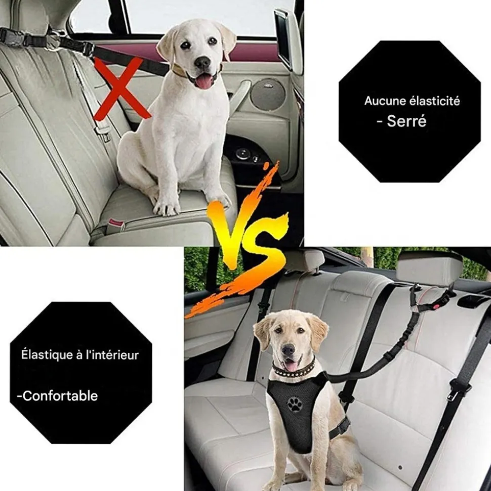 DOWNYPAWS - Lot de 2 ceintures de sécurité pour chien