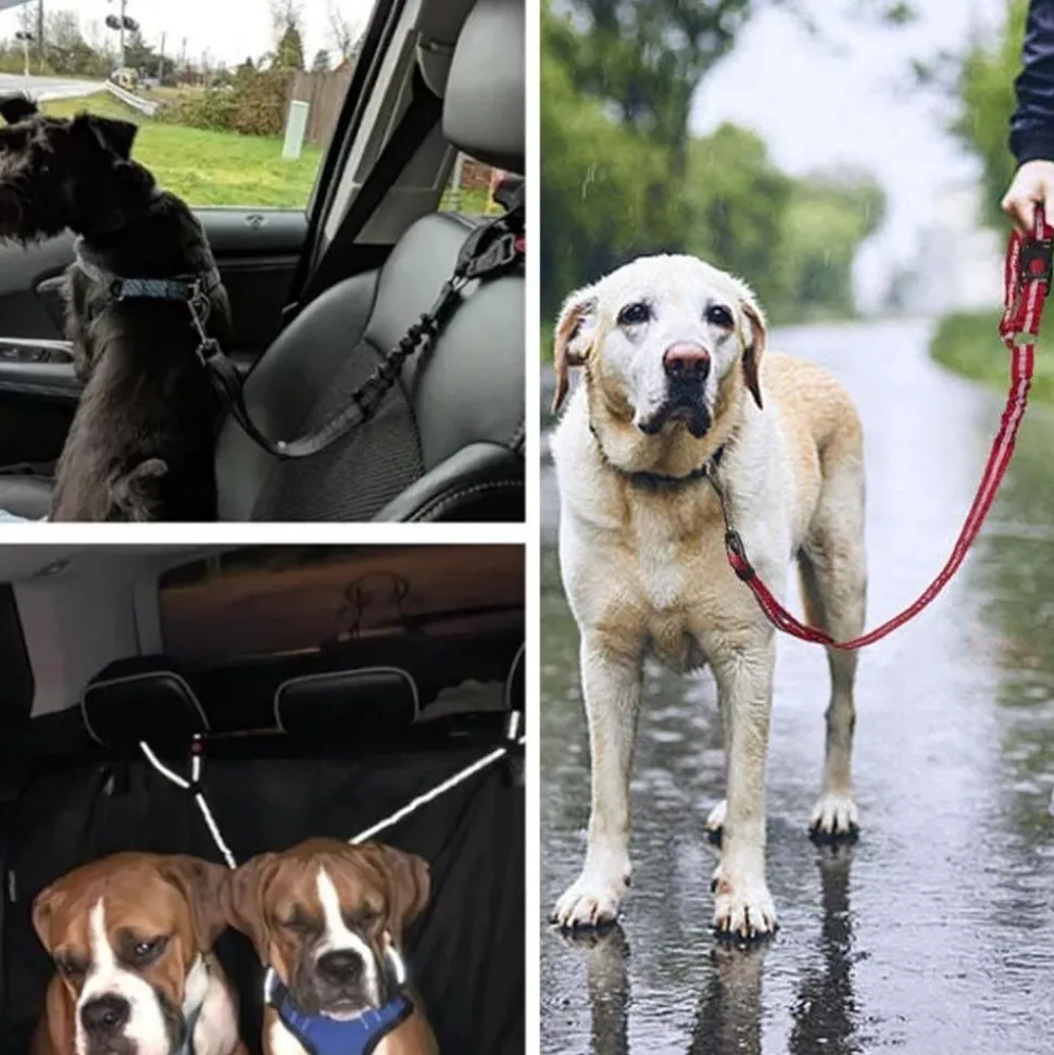 DOWNYPAWS - Lot de 2 ceintures de sécurité pour chien