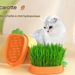 DOWNYPAWS - Lot de 2 herbe à chat pour herbe de chat hydroponique avec 10 poches en plastique, matériaux de qualité,