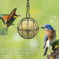 DOWNYPAWS - Lot de 4 mangeoires à boules de graisse noires - support métal résistant aux intempéries pour jardin & balcon