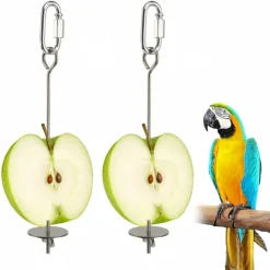 DOWNYPAWS - Mangeoire brochette perroquet lot de 2