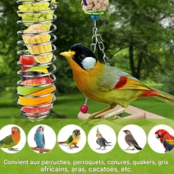 DOWNYPAWS - Mangeoire suspendue perroquet 2 pcs