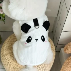 DOWNYPAWS - Mangeoires et ornements extérieurs pour oiseaux de différents styles