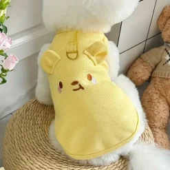 DOWNYPAWS - Mangeoires et ornements extérieurs pour oiseaux de différents styles