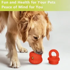 DOWNYPAWS - Mangeur lent de chien en silicone médical certifié fda orange