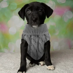 DOWNYPAWS - Manteau de laine tricoté pour chien,tricot torsadé de couleur unie