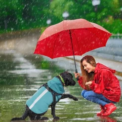 DOWNYPAWS - Manteau pour chiens-avec harnais-réfléchissant imperméable-vert taille s