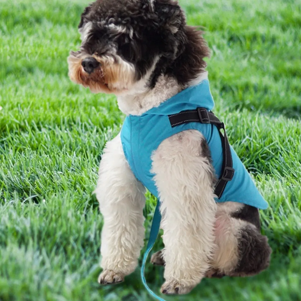 DOWNYPAWS - Manteau pour chiens-avec harnais-réfléchissant imperméable-vert taille s