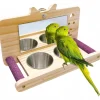 DOWNYPAWS - Miroir oiseau - perchoir en bois avec miroir